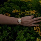 Clara - Calista